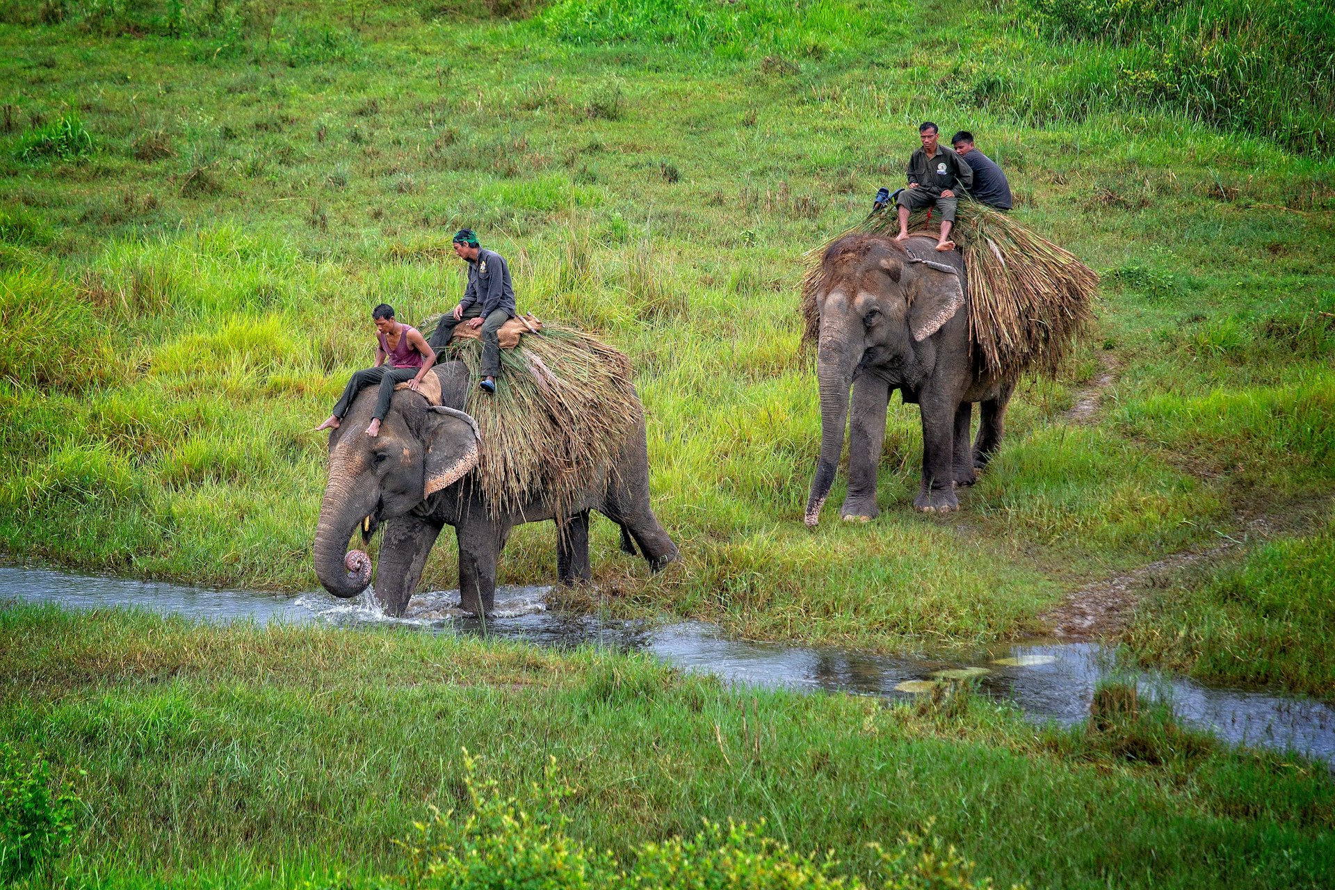 two person riding elephant
