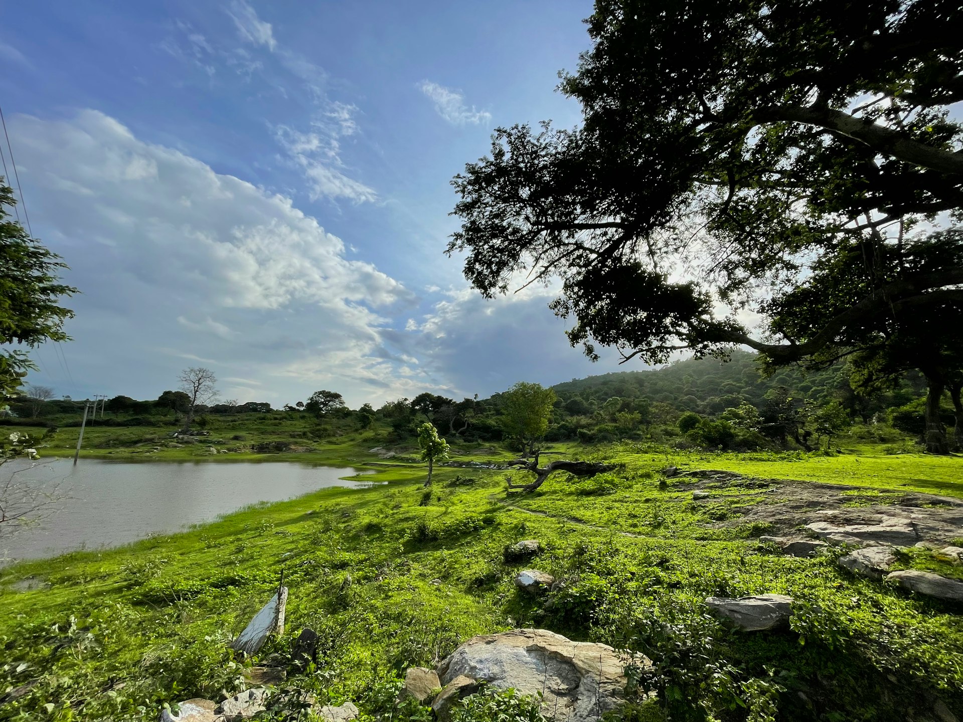 a lake surrounded by lush green grass and trees