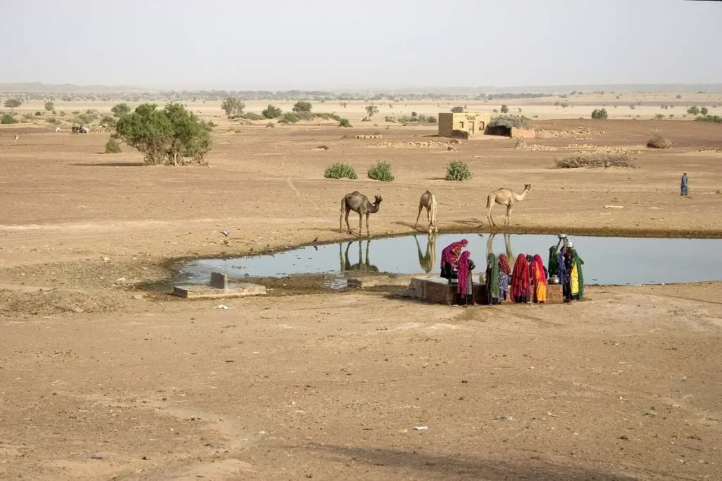 Jaipur Udaipur Jodhpur Jaisalmer | FREE Romantic Lakeview Dinner