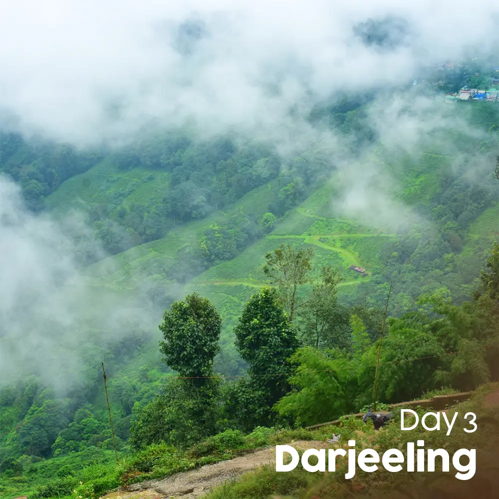 Sikkim Pack (4).webp