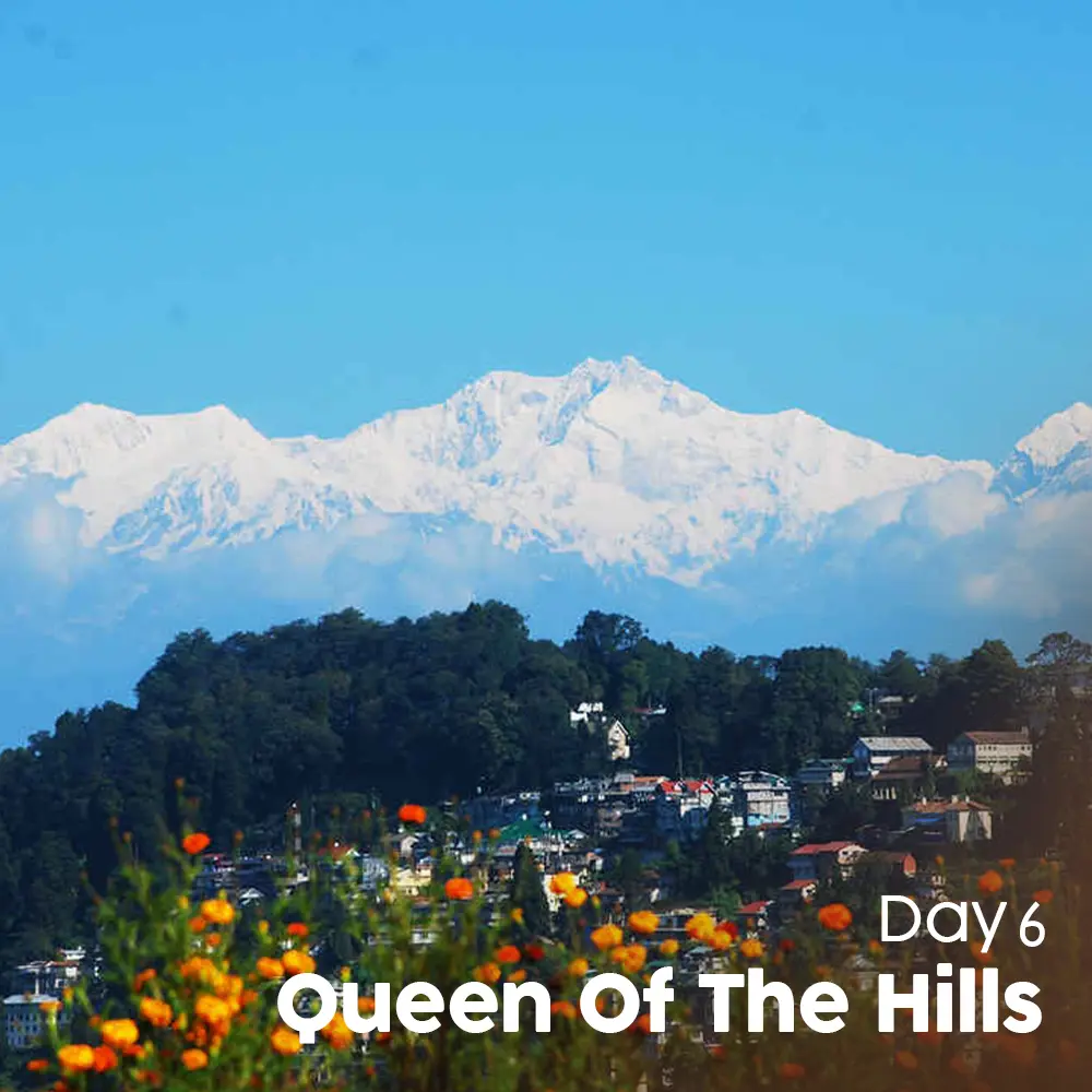 Sikkim Pack (7).webp