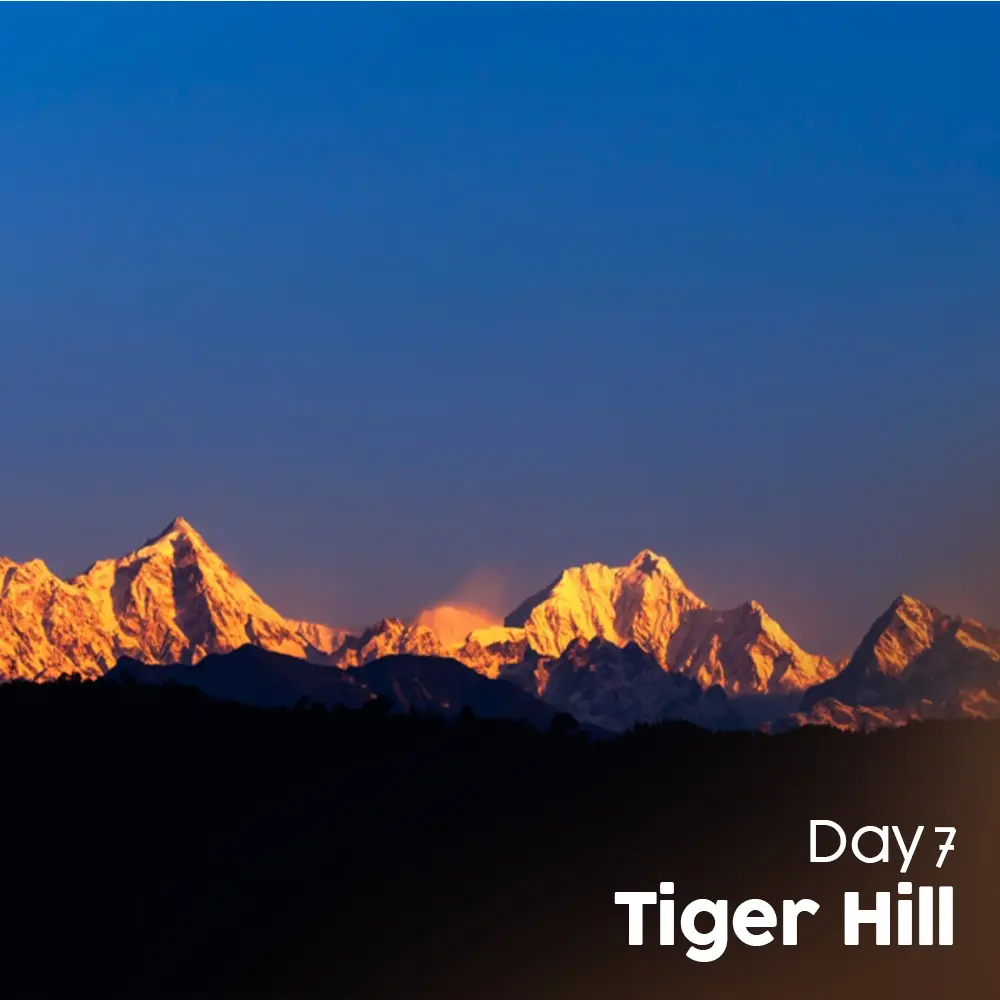 Sikkim Pack (8).webp