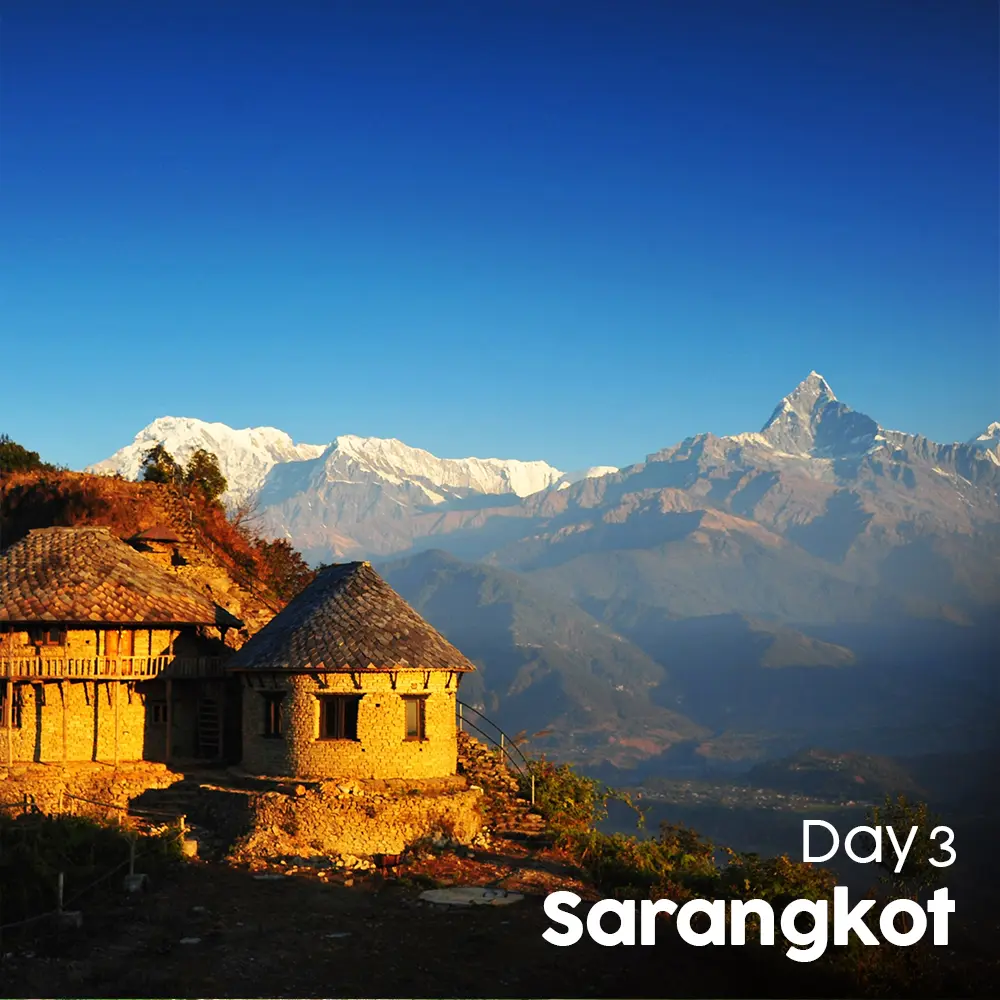 Artboard 10 (6).webp