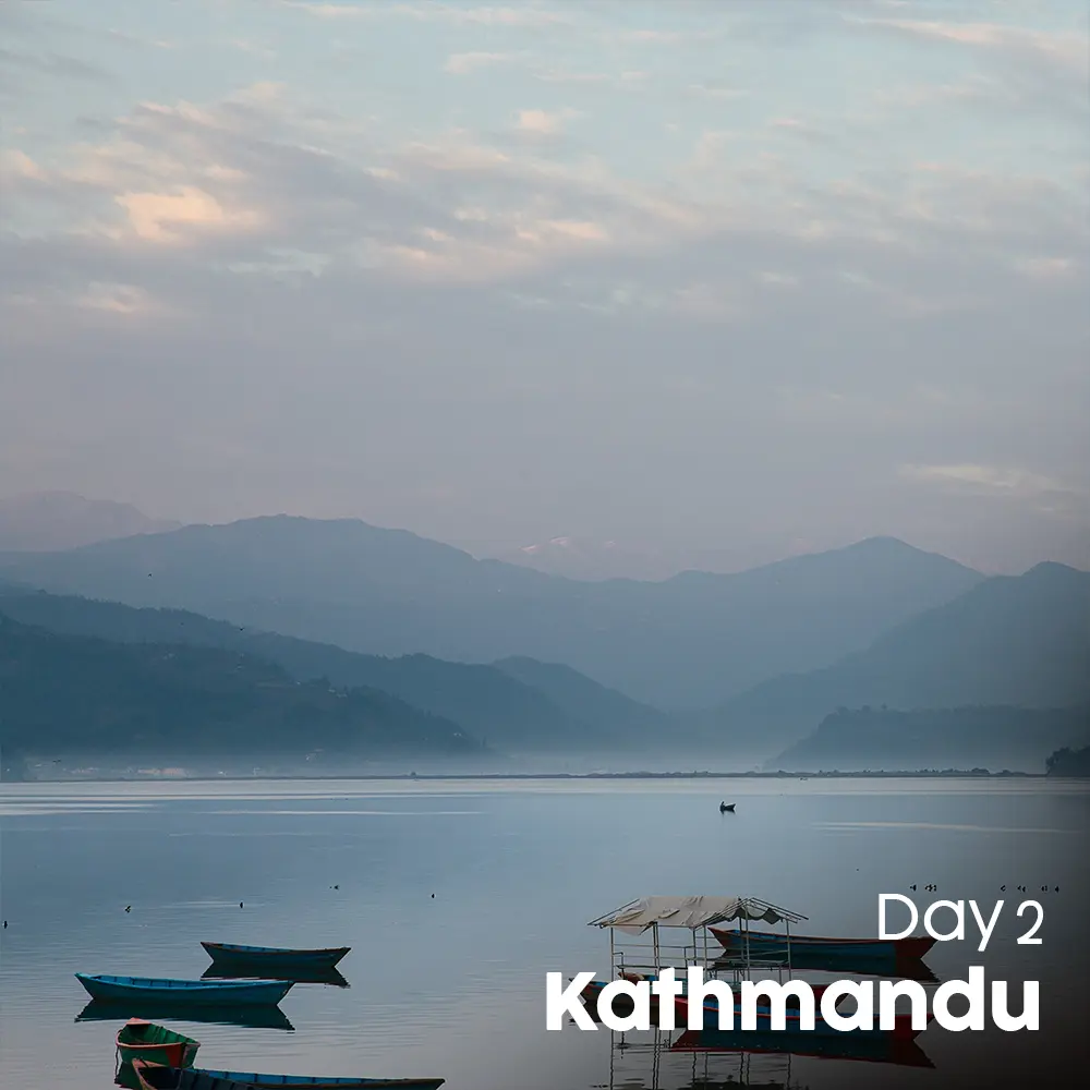 Artboard 9 (11).webp