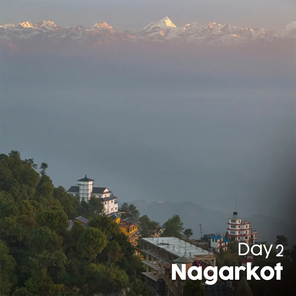 Artboard 9 (12).webp