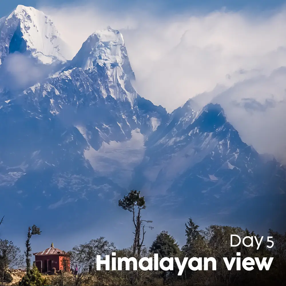 Artboard 12 (3).webp