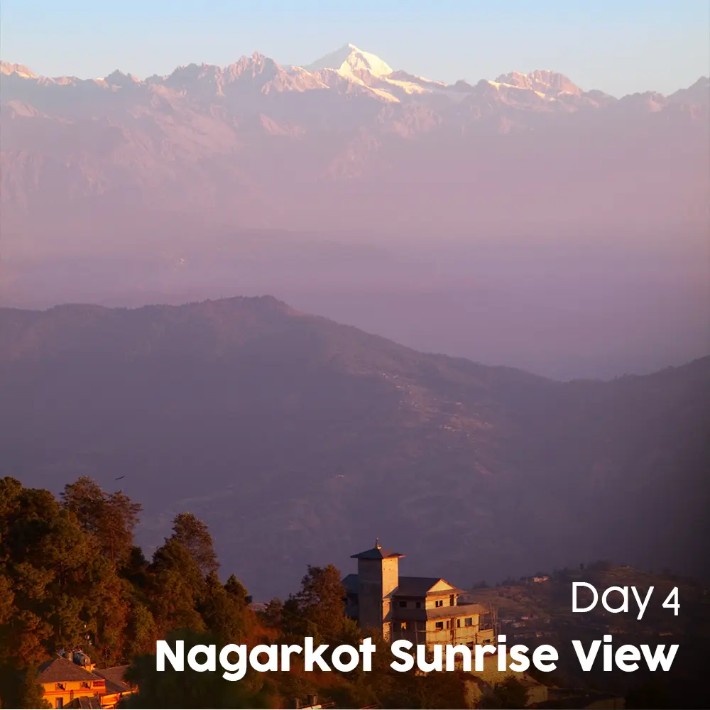 Artboard 11 (7).webp