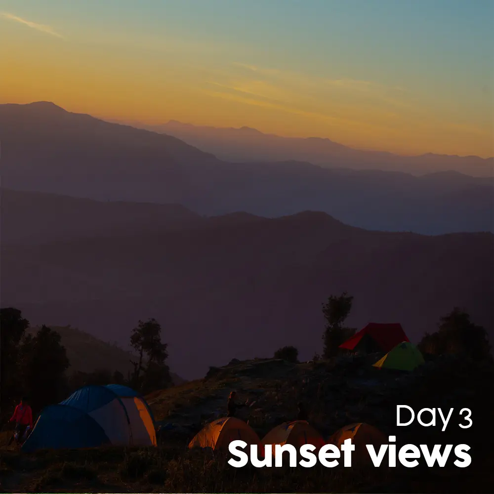 Artboard 10 (7).webp