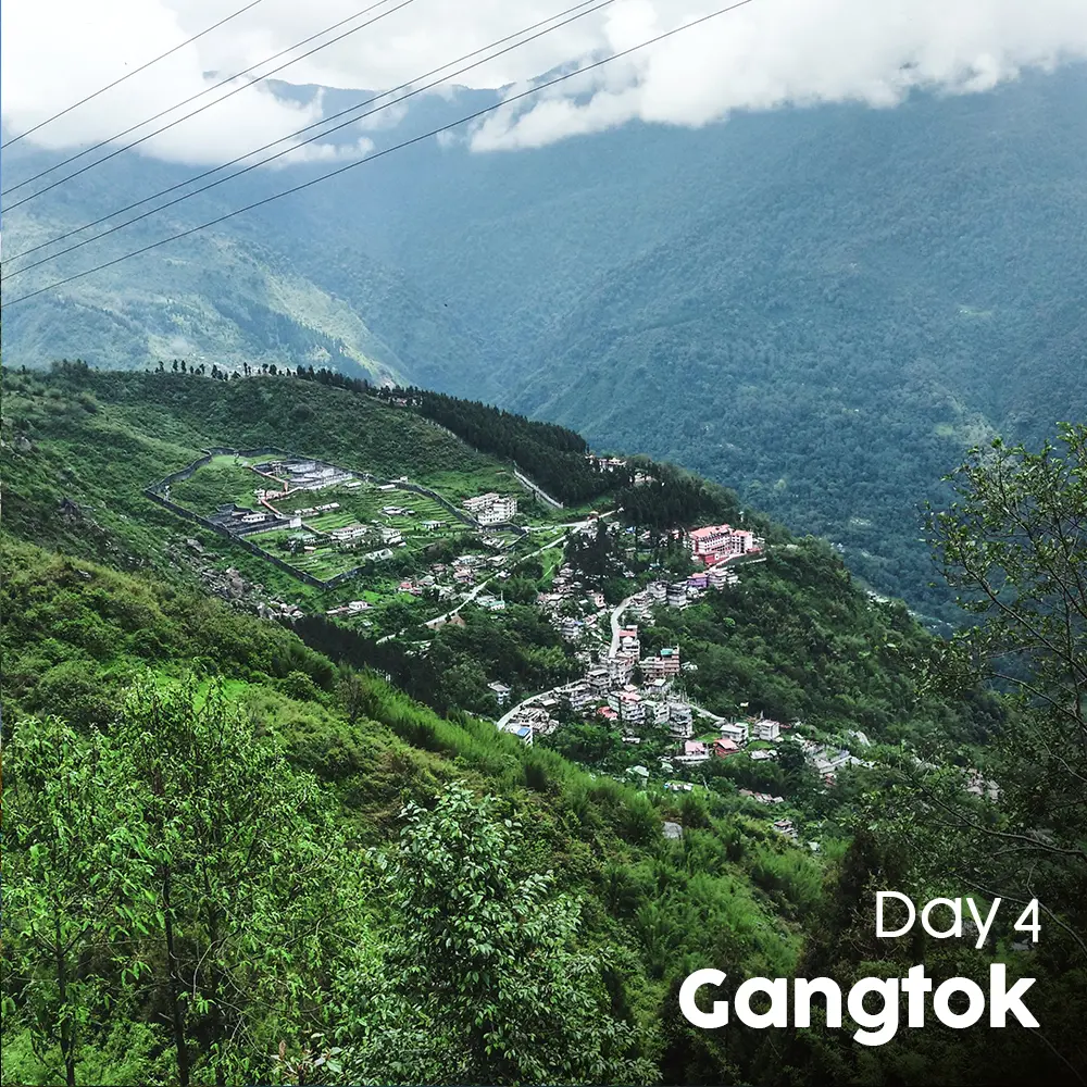 Artboard 11 (7).webp