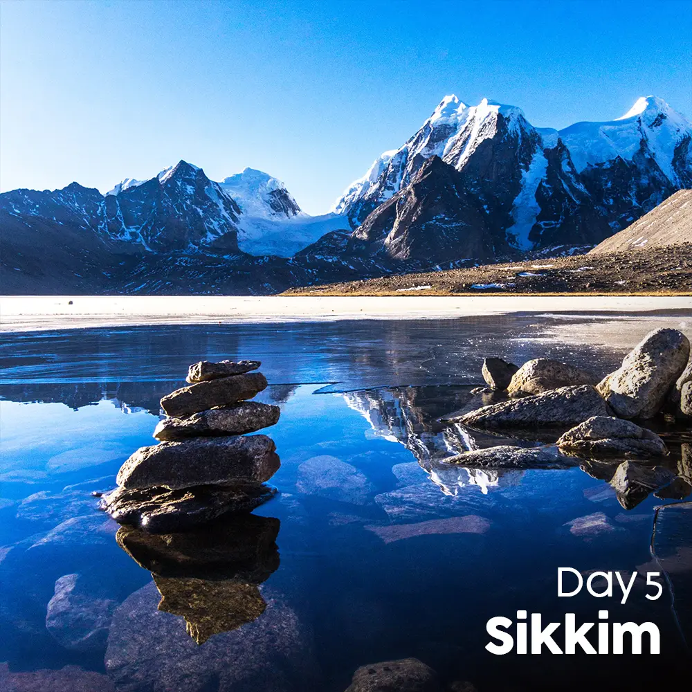 Artboard 12 (3).webp