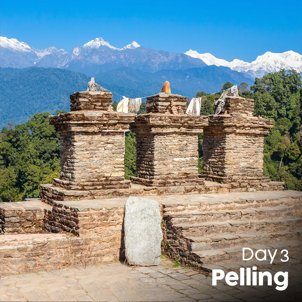 Artboard 10 (7).webp