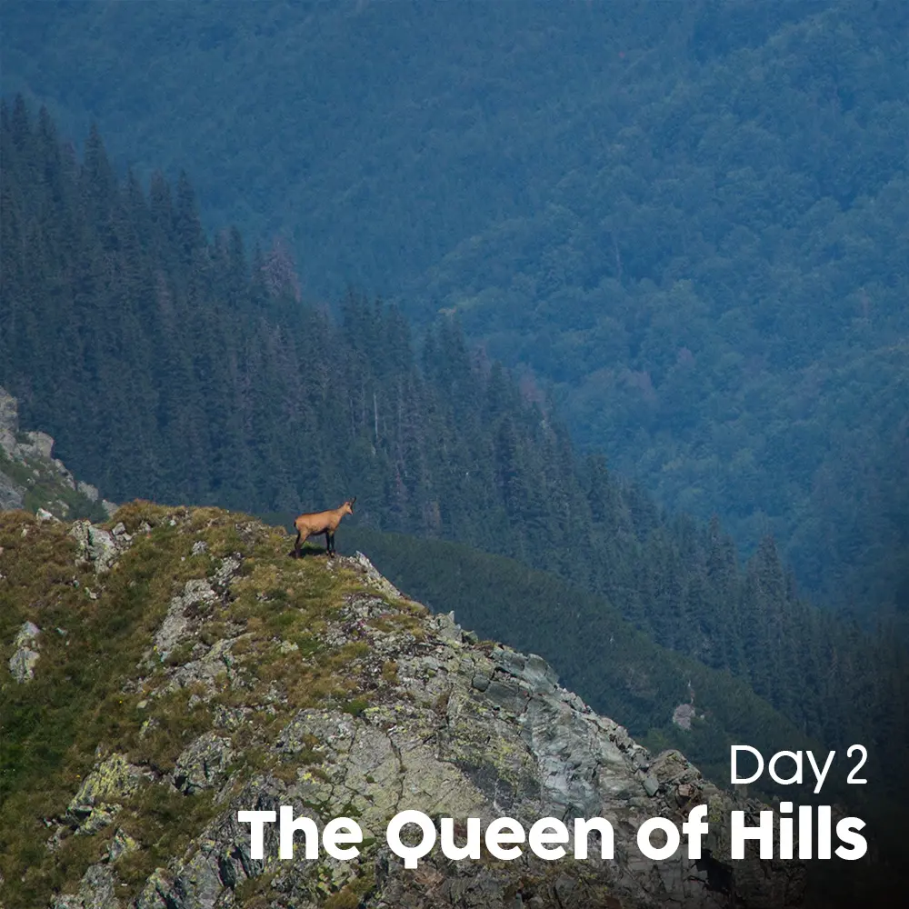 Artboard 9 (12).webp