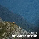 Artboard 9 (12).webp