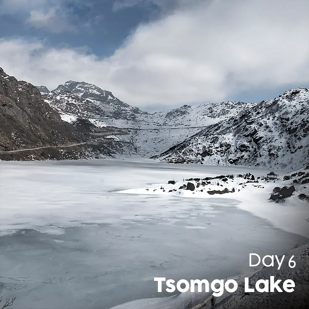 Artboard 13 (1).webp