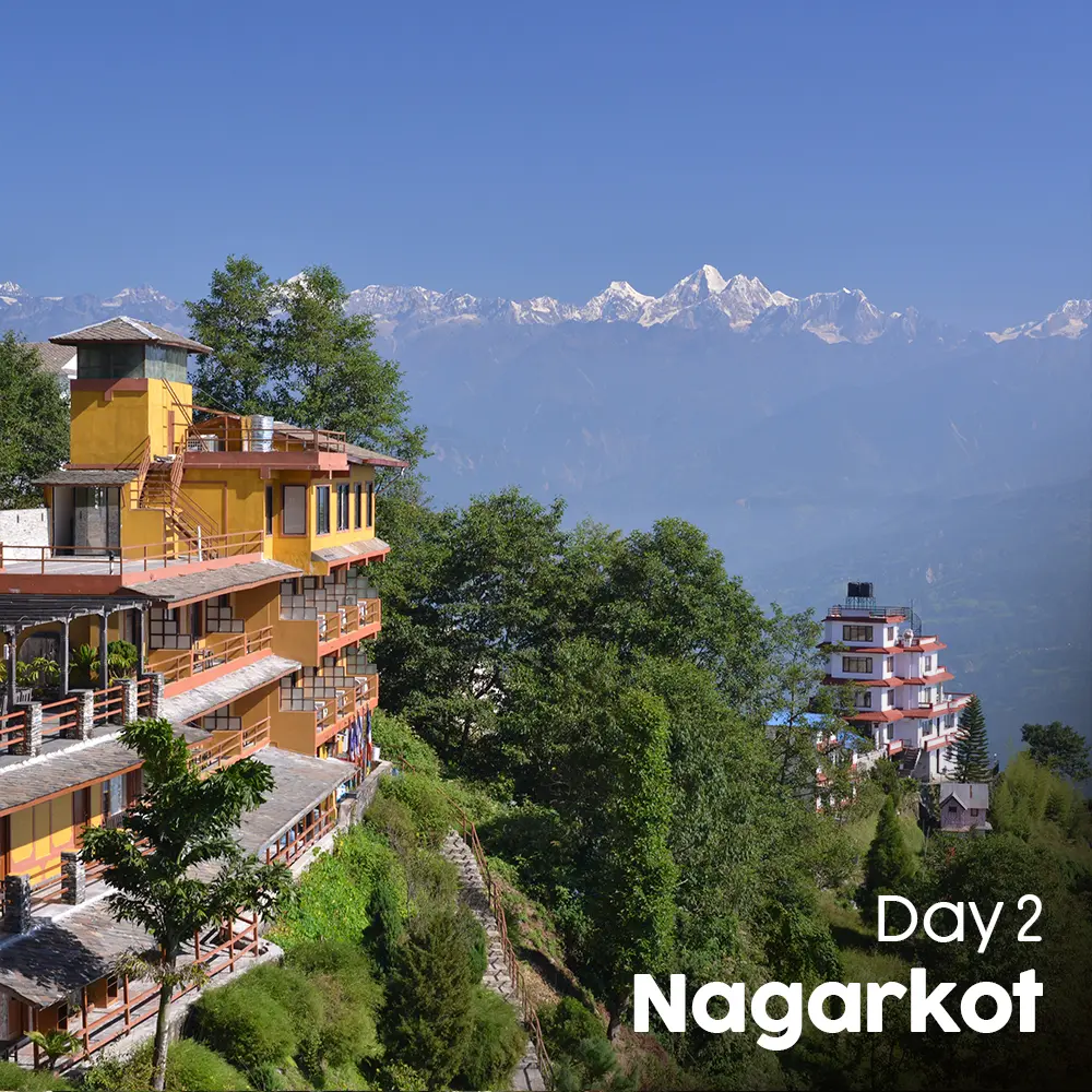 Artboard 9 (12).webp