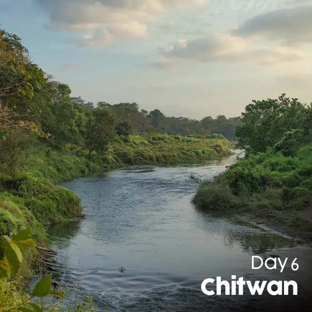 Artboard 12 (3).webp