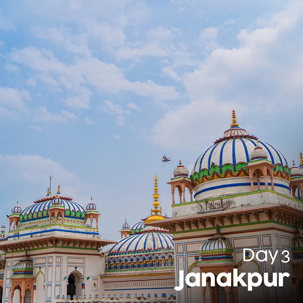 Artboard 10 (7).webp