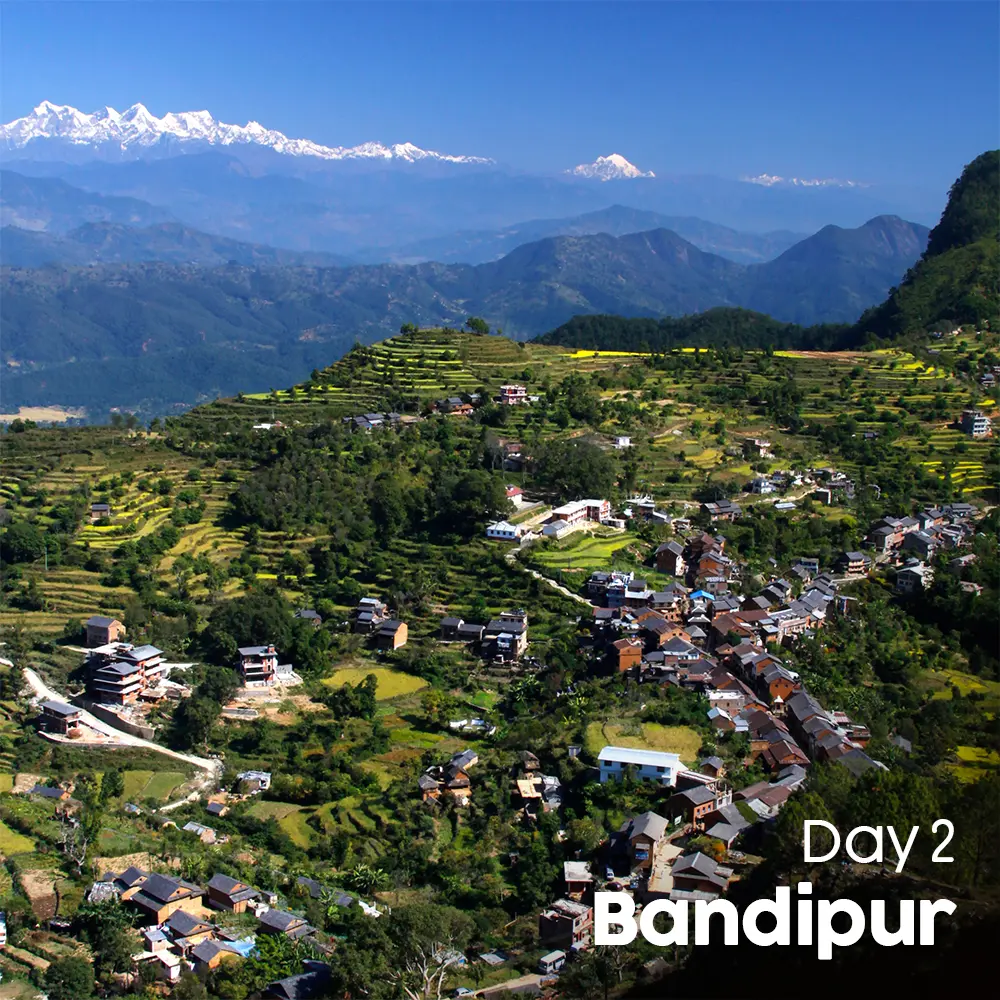 Artboard 9 (12).webp