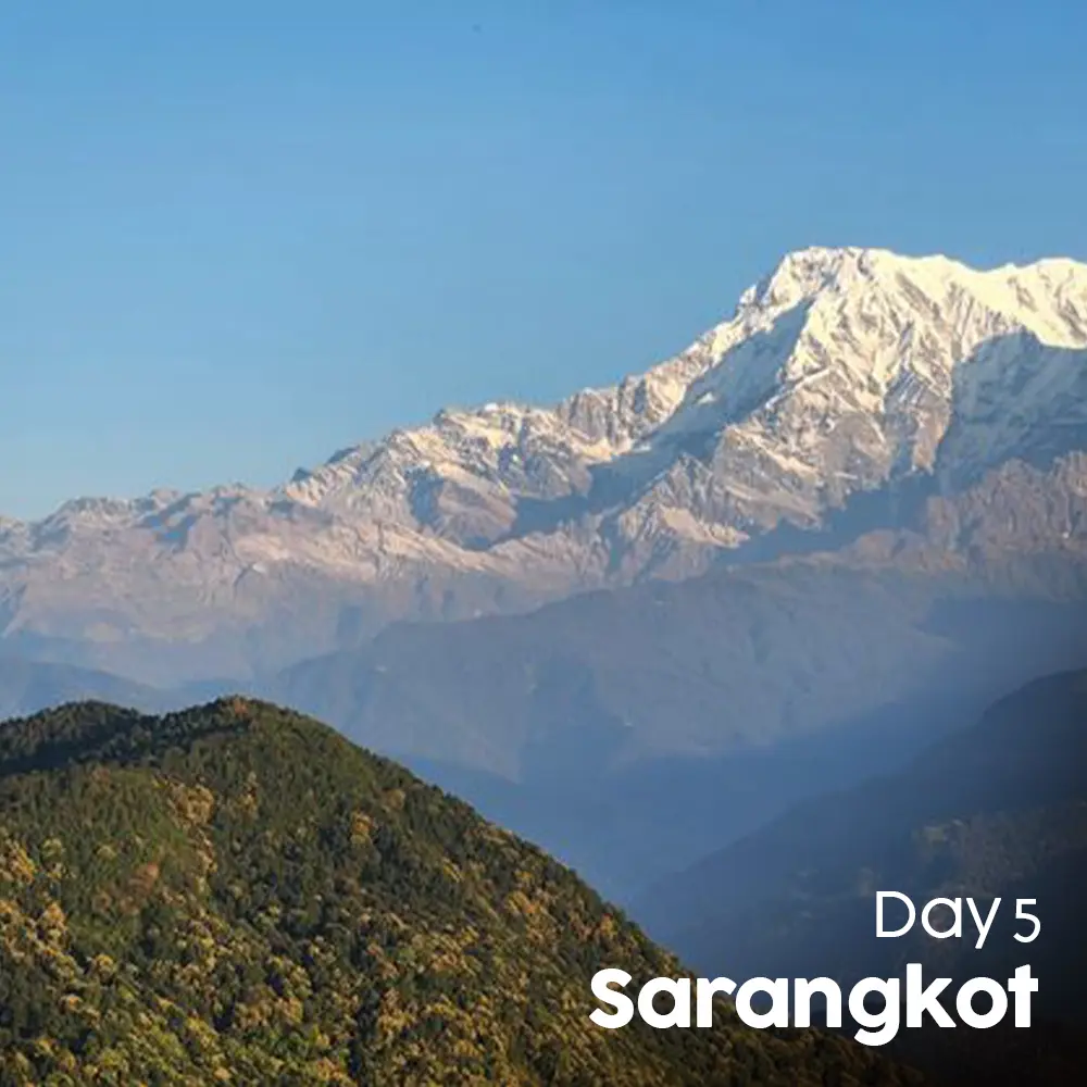 Artboard 12 (3).webp