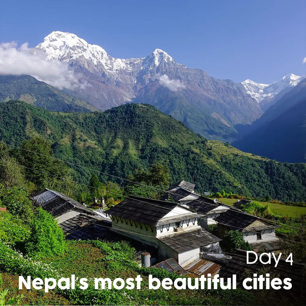 Artboard 11 (7).webp