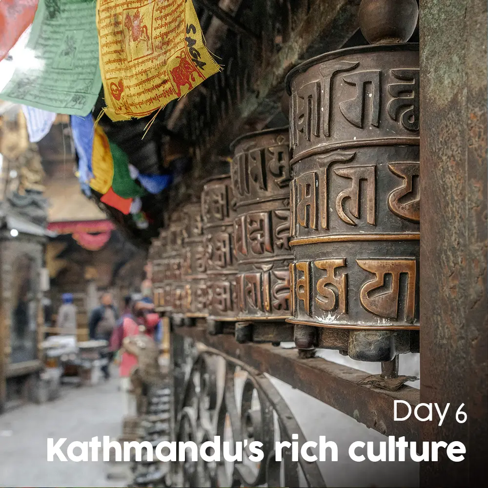 Artboard 13 (1).webp