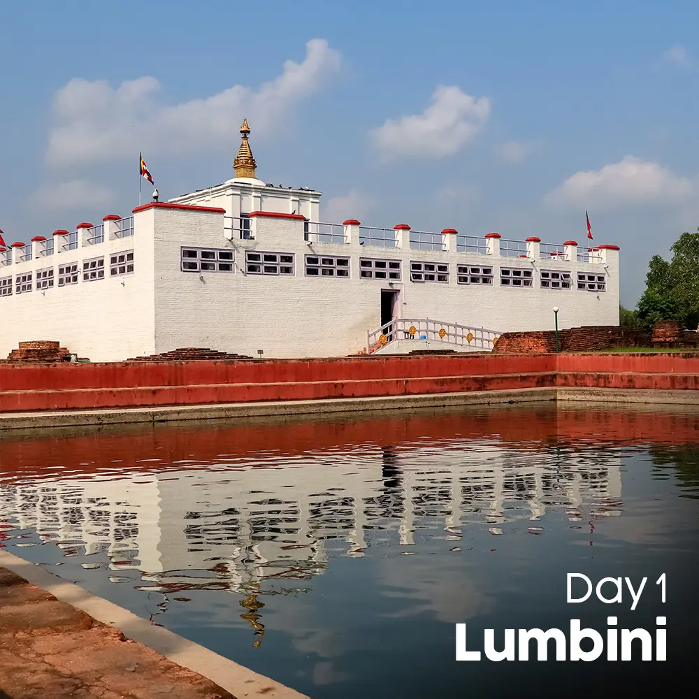 Artboard 8 (15).webp