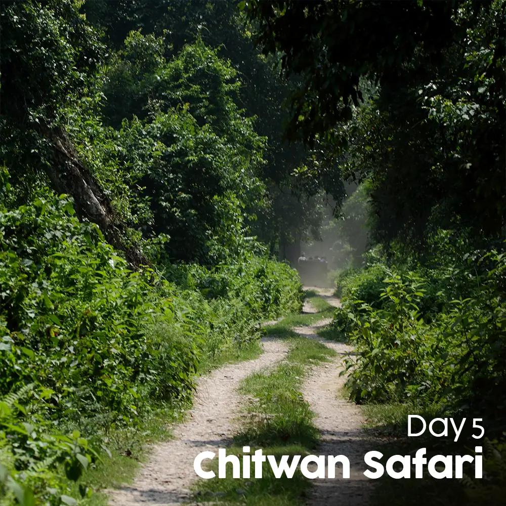 Artboard 12 (3).webp