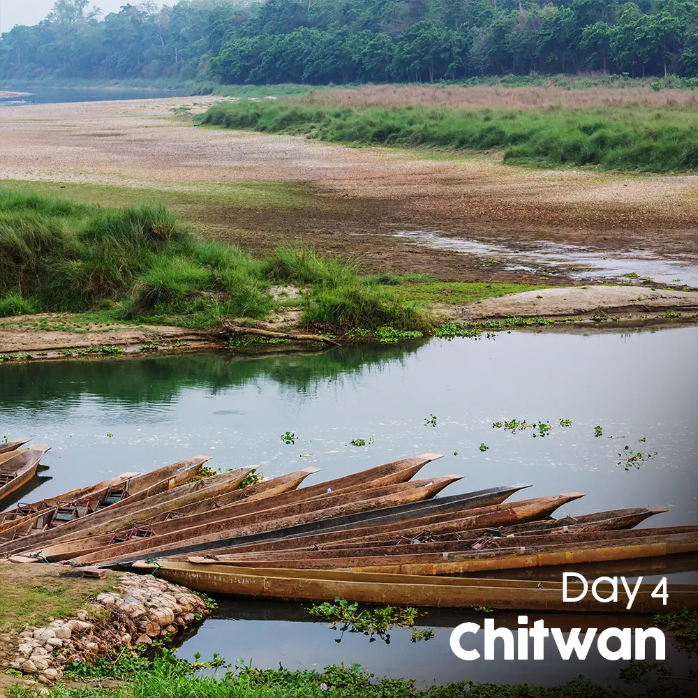 Artboard 11 (7).webp