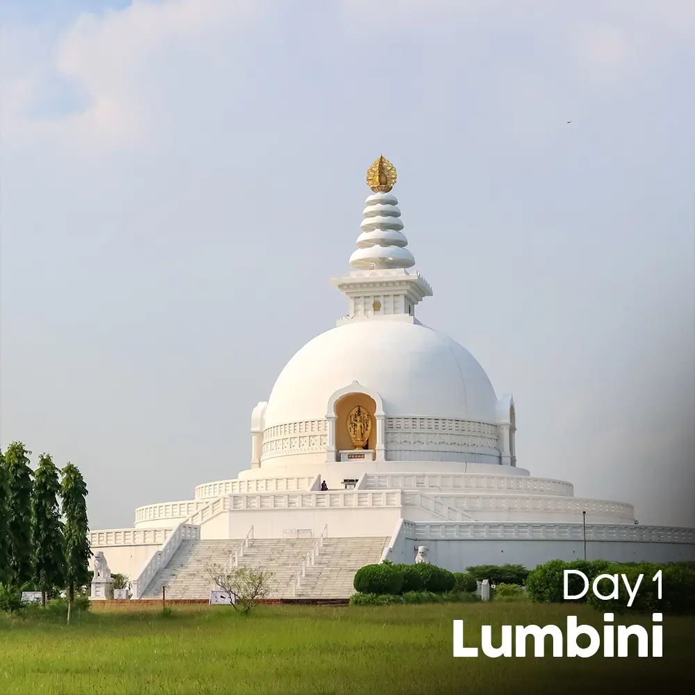 Artboard 8 (15).webp