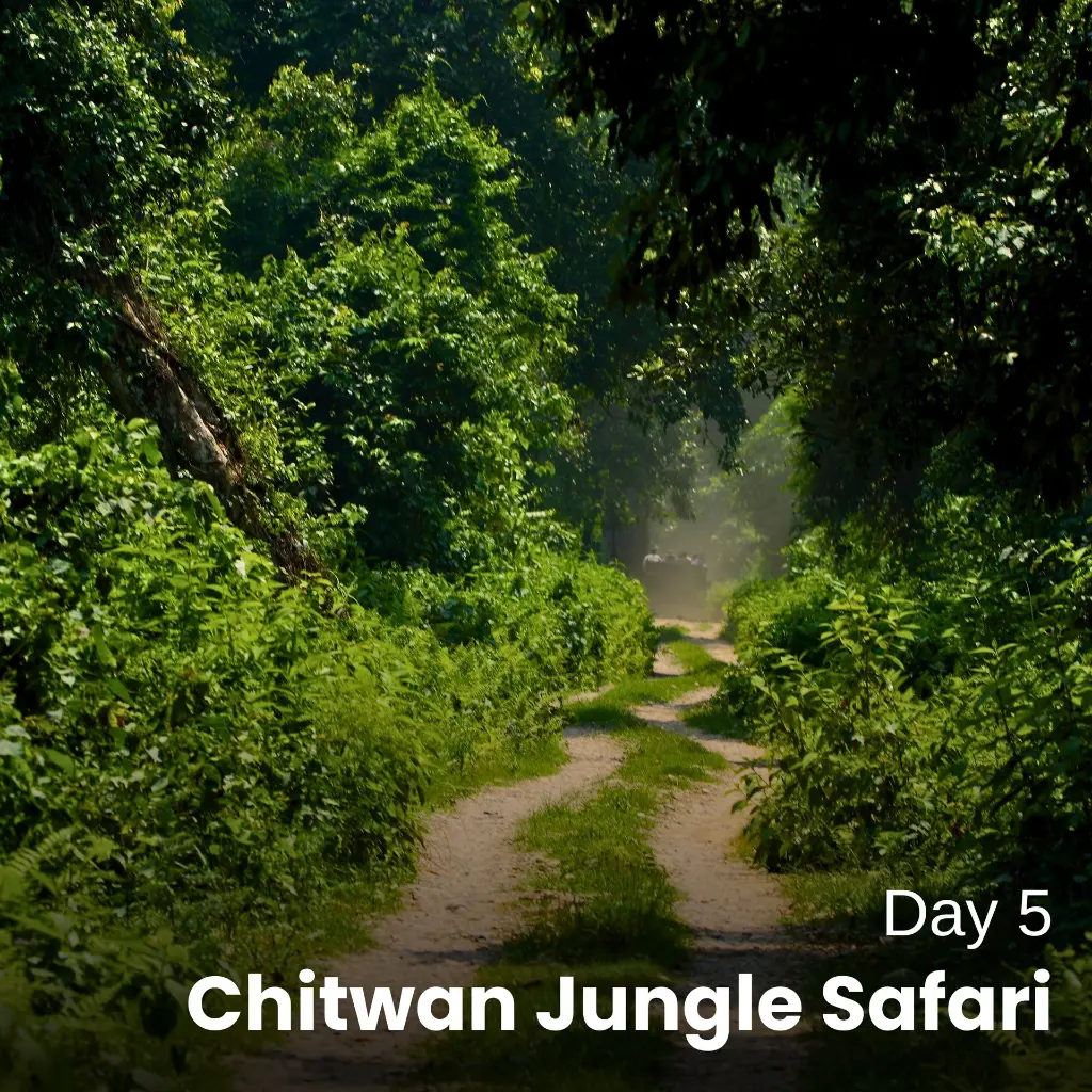 Day 5 (6).webp