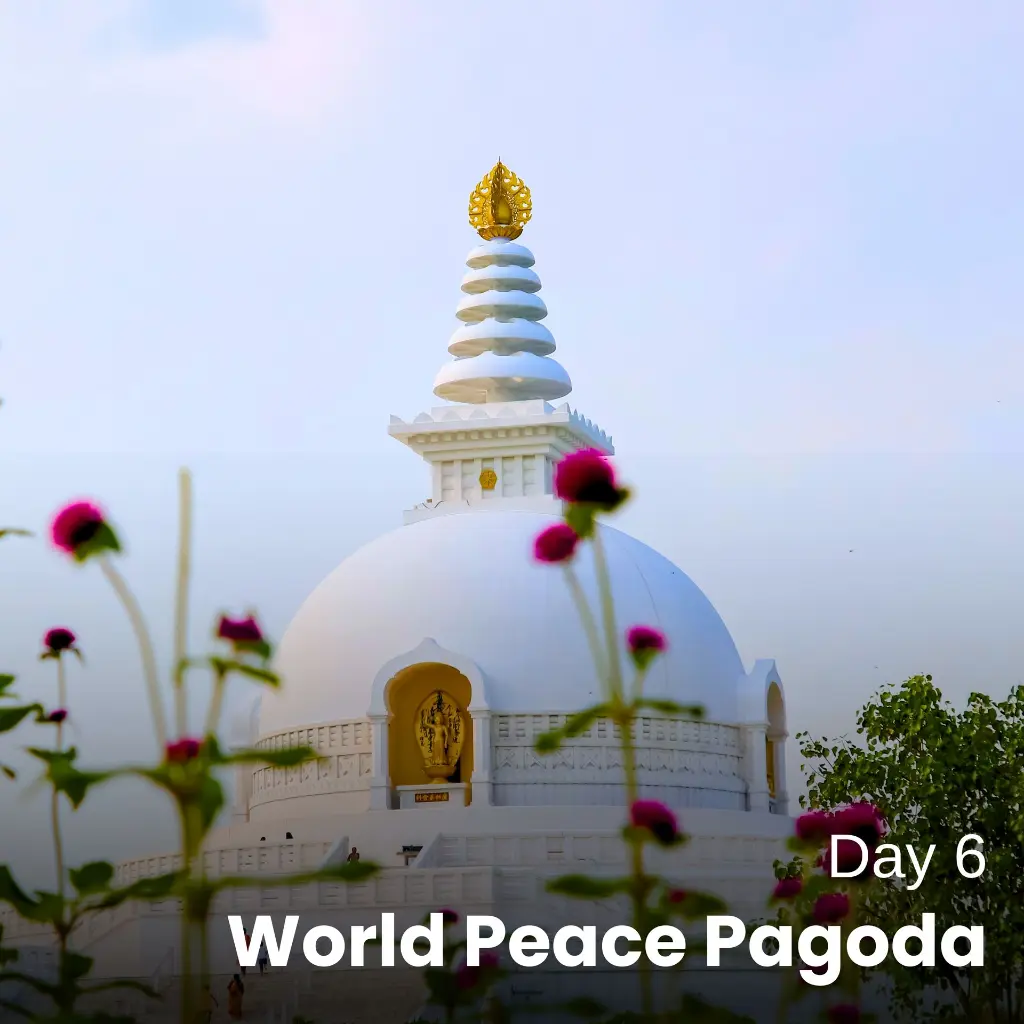 Day 6 (5).webp