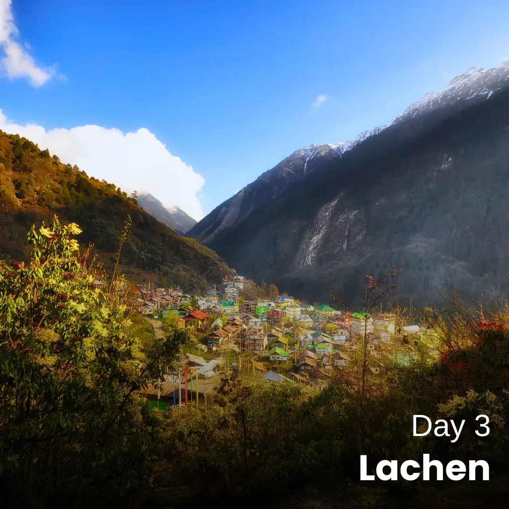 Day3.webp