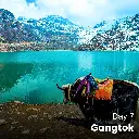 Day7.webp