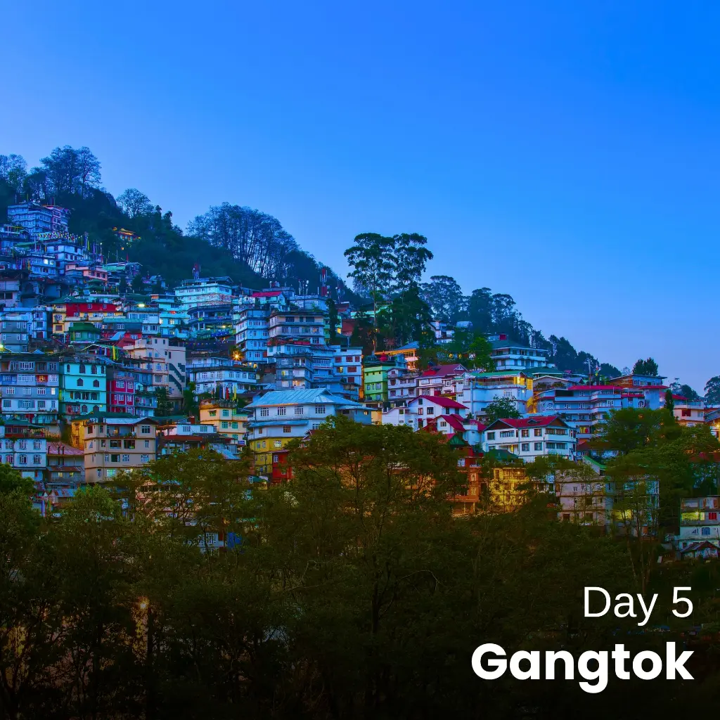 Day5.webp
