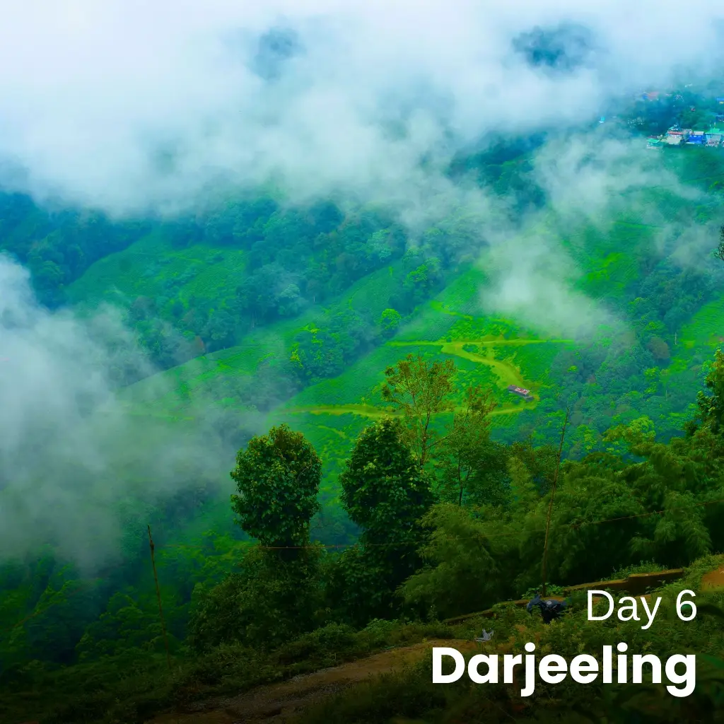 Day6 (1).webp