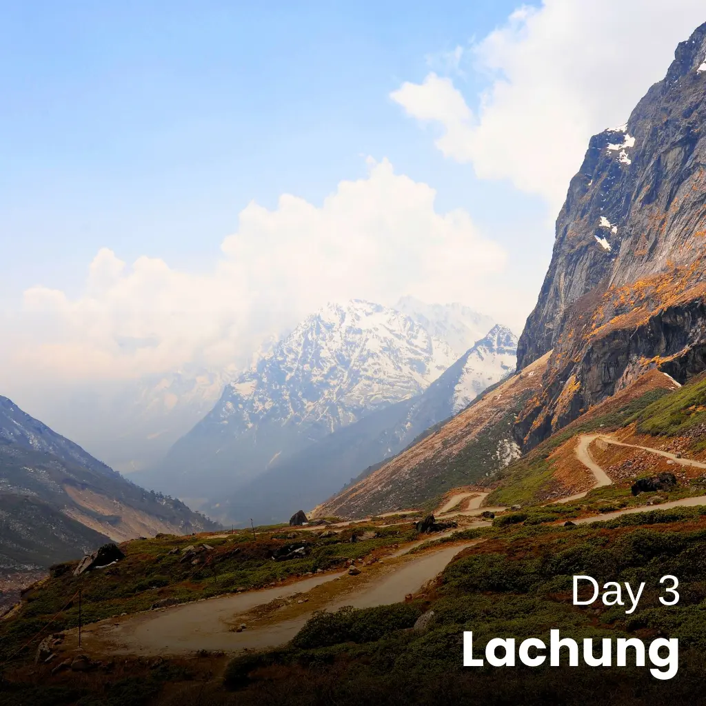 Day3 (2).webp