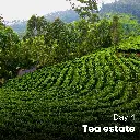 Day4 (3).webp