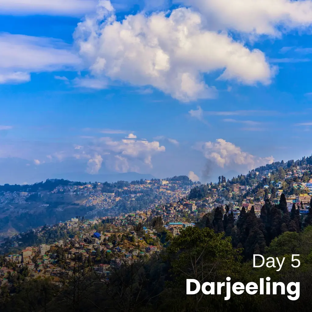 Day5 (2).webp