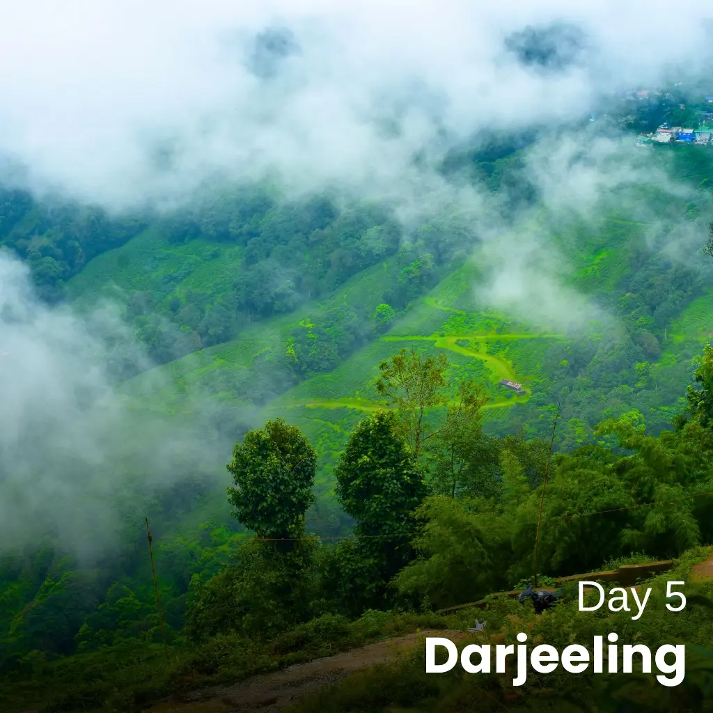 Day5 (1).webp