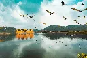 unsplash_3P1G67zNyCI_jaipur.jpg.jpg.webp