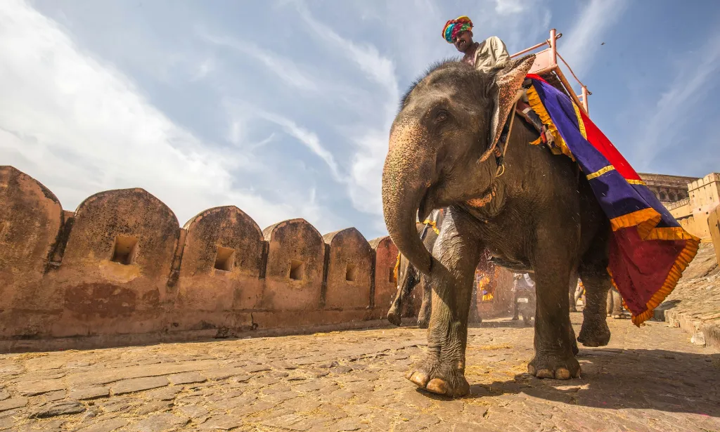 unsplash_CIXoFys3gsw_jaipur.jpg.webp