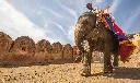 unsplash_CIXoFys3gsw_jaipur.jpg.webp