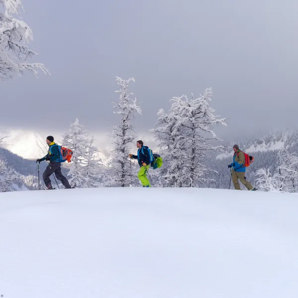 Complete Sikkim Getaway from Kolkata 8D/7N