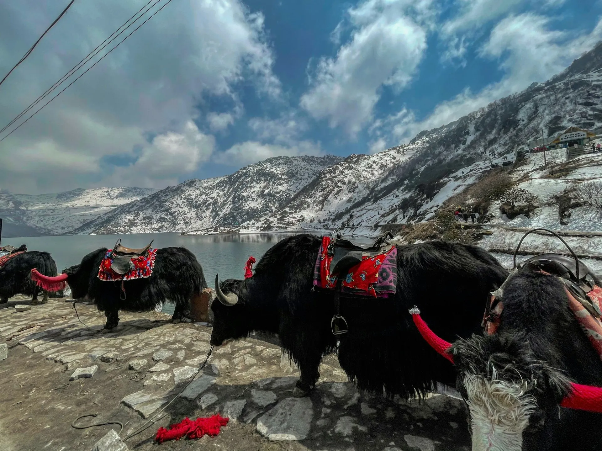 A Unique Sikkim Journey 6D/5N | From Pune to Paradise