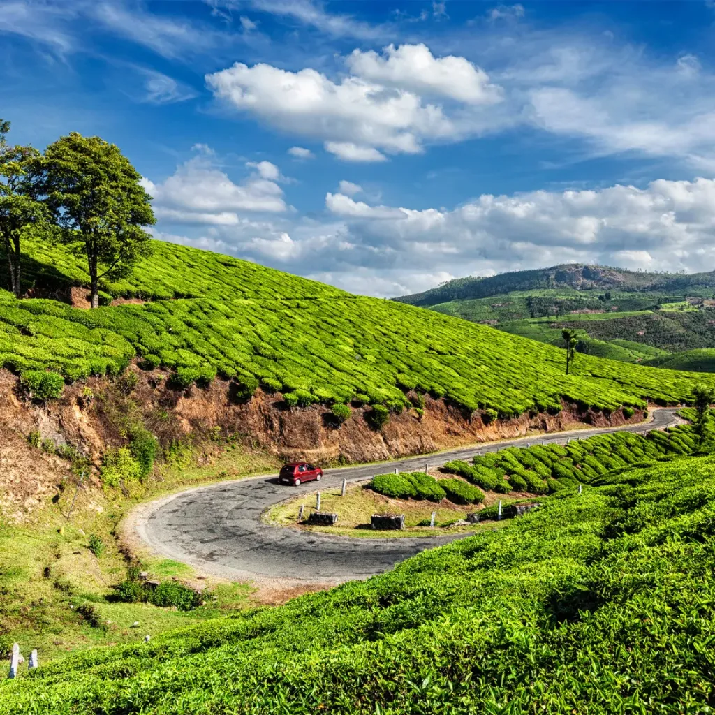 Munnar Alleppey Escape from Mumbai 5D/4N