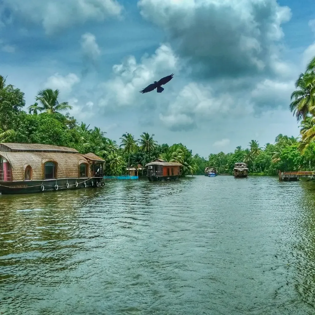 Kerala Hills & Backwaters from Delhi 6D/5N