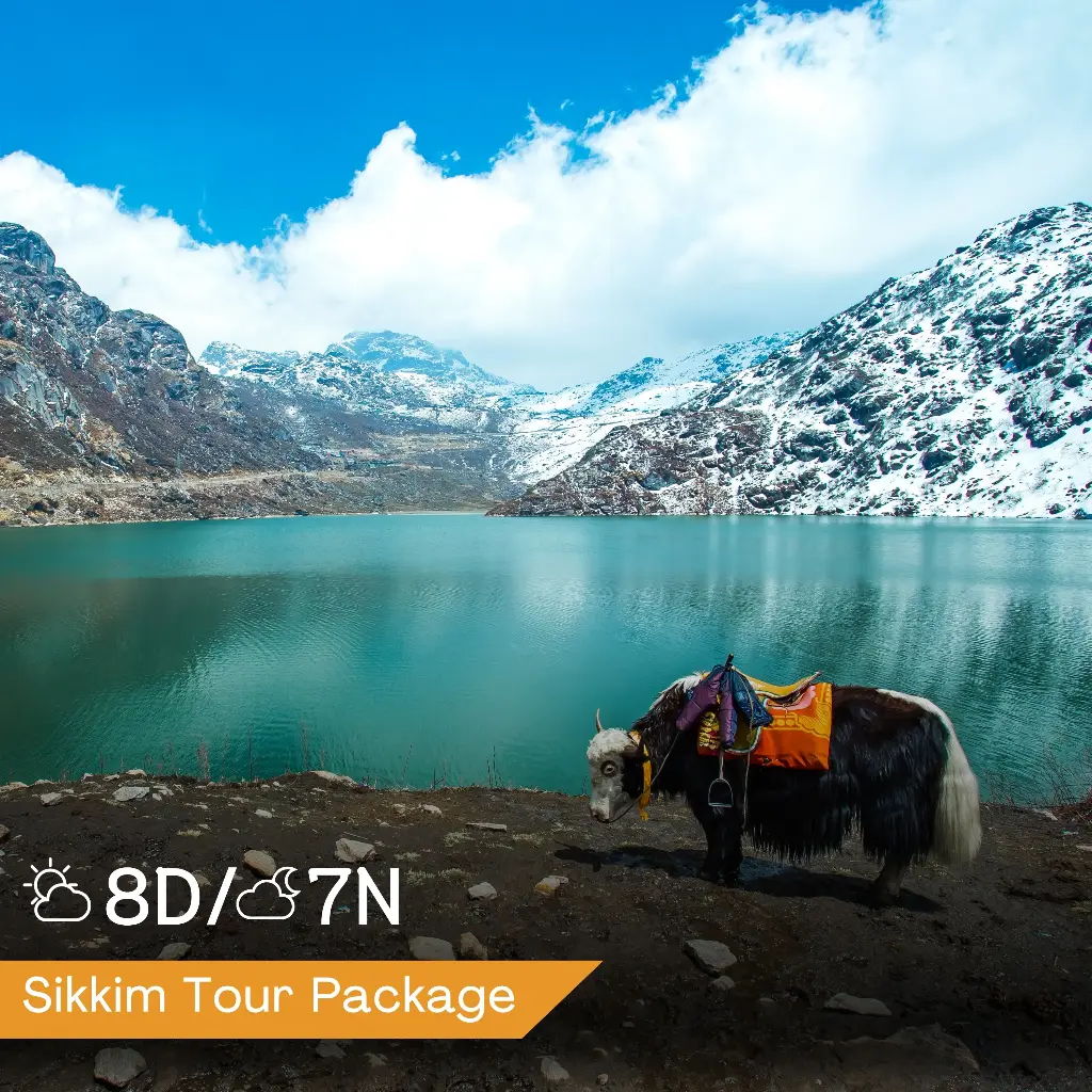 Gangtok, Pelling, and Darjeeling Tour Package from NJP