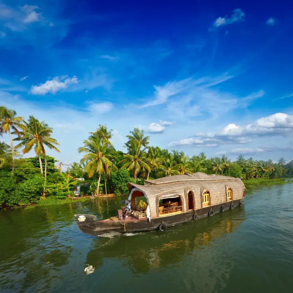 Munnar Tea Garden Trip from Patna 5D/4N