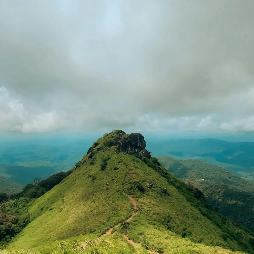 Tea Gardens & Houseboat Tour from Ernakulam 5D/4N