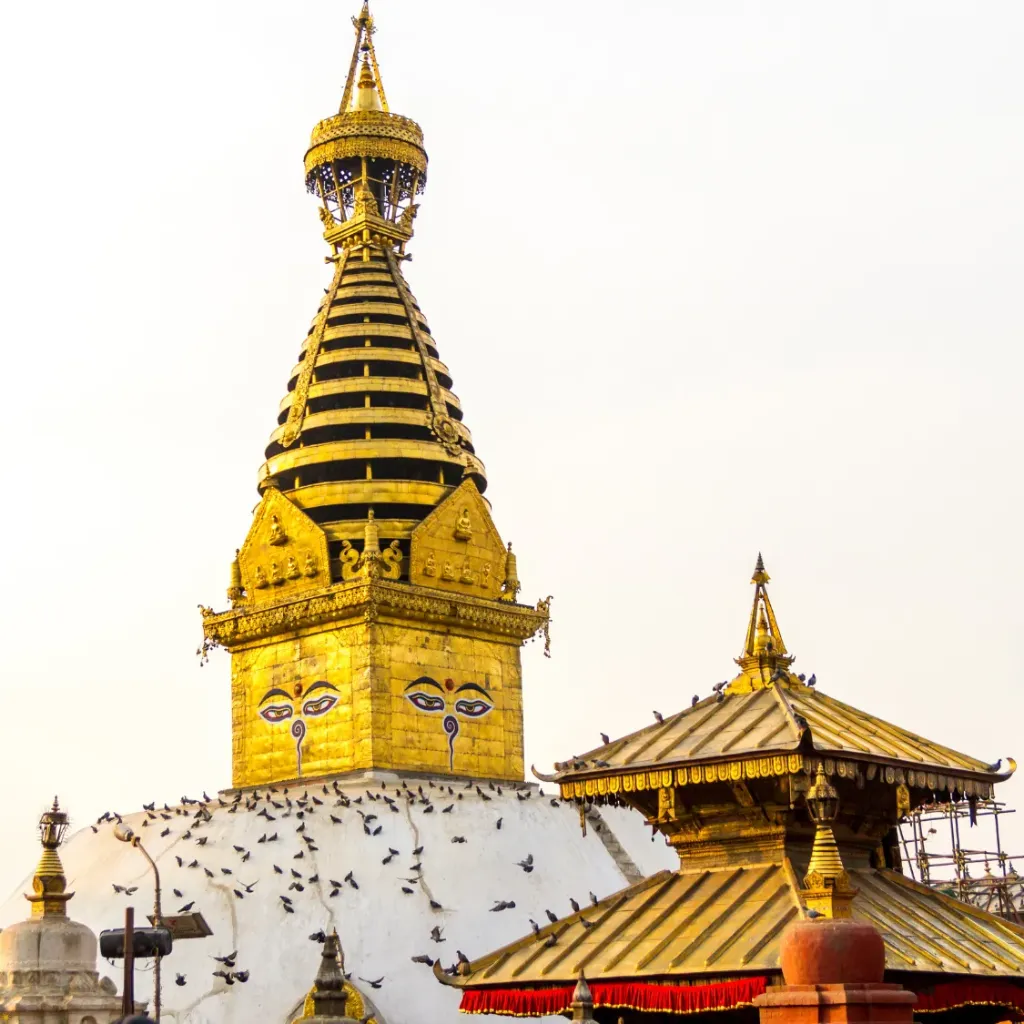 Epic Nepal Explorer from Kolkata 7D/6N
